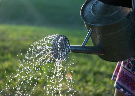 Come progettare un impianto di irrigazione