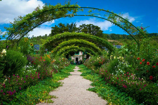 pulizia del giardino
