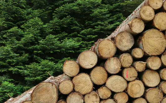 Come impermeabilizzare il legno all'esterno
