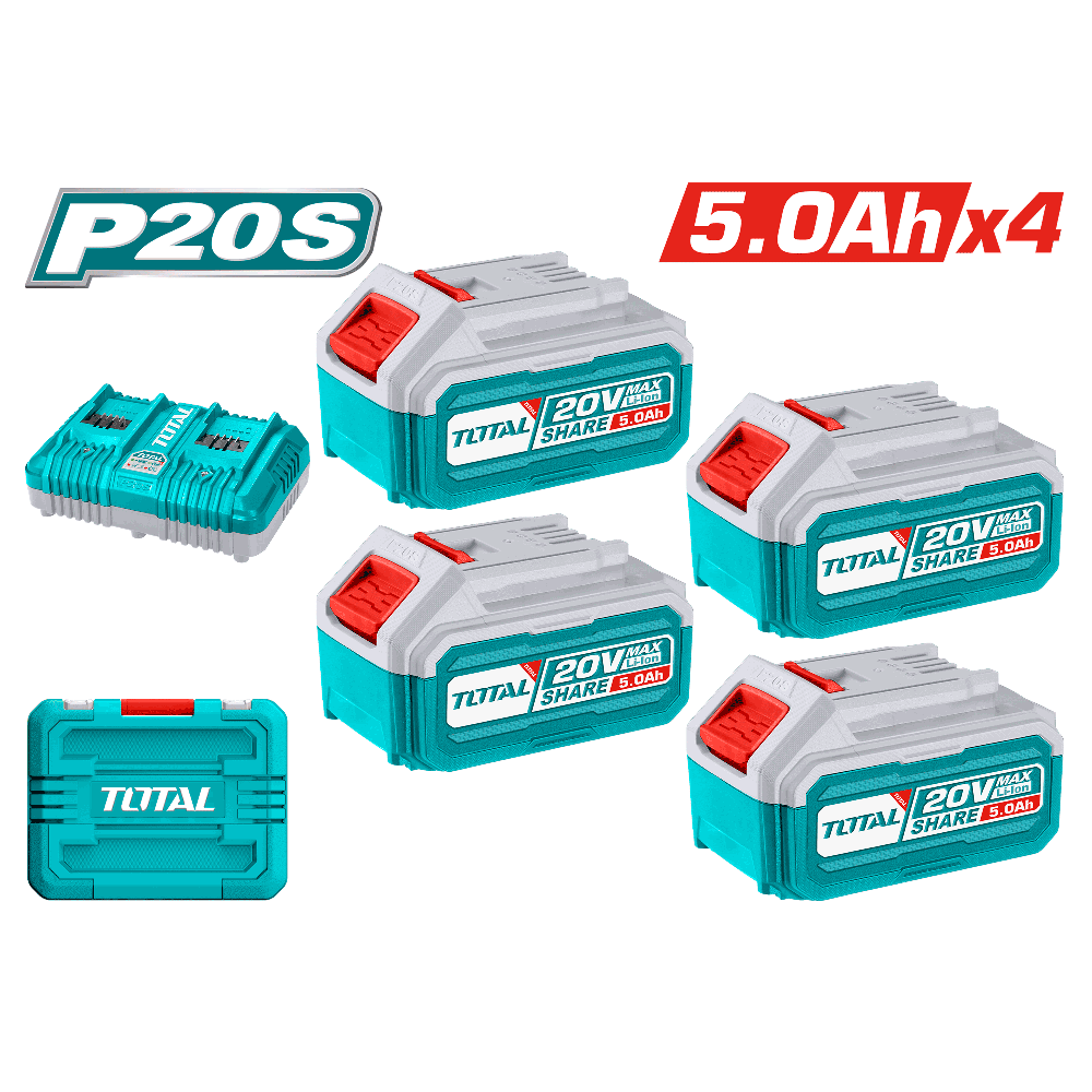 Valigetta 4 Batterie 20V, 5Ah + Caricabatterie 4A Doppio